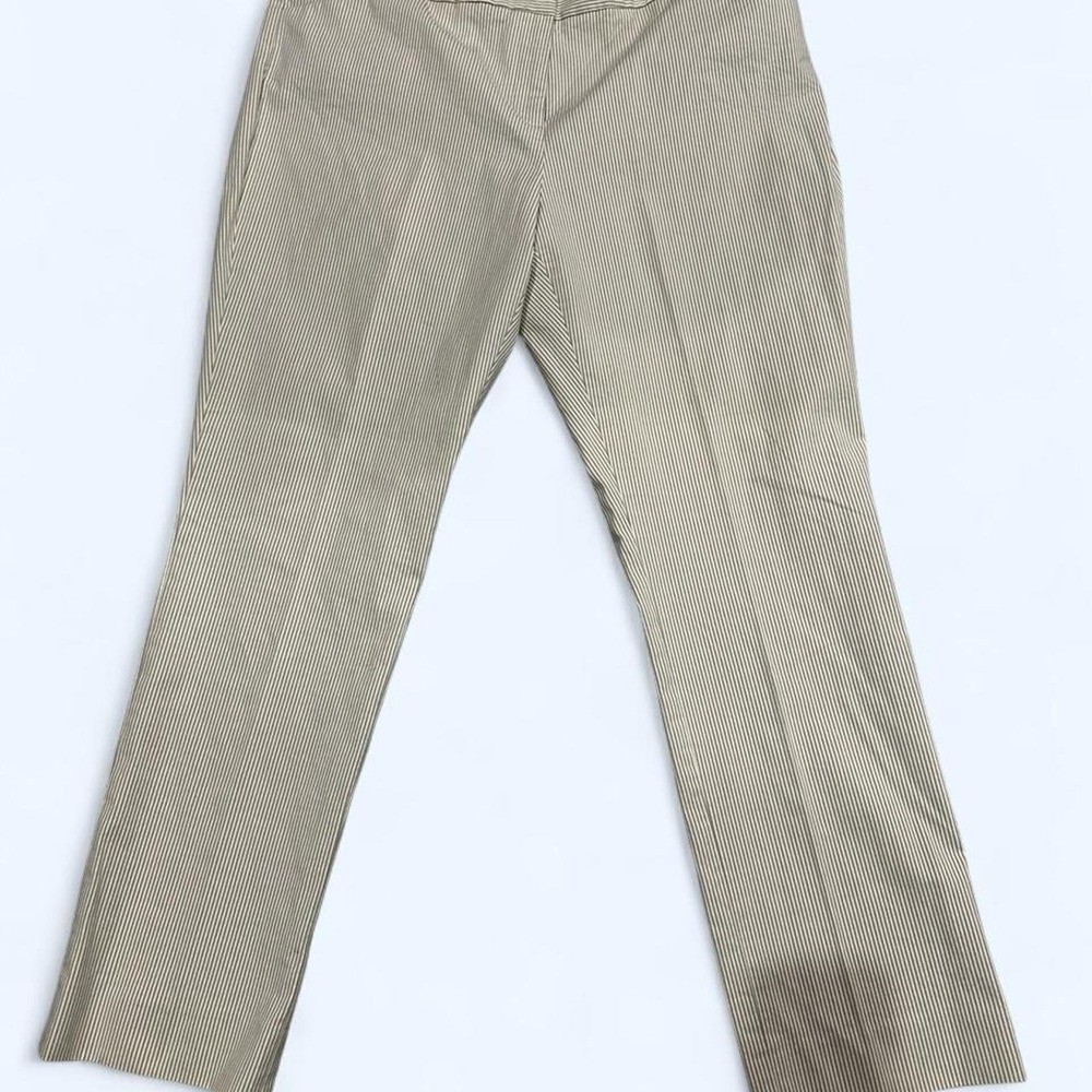 Antonio Melani Beige Thin Striped Pants size 14